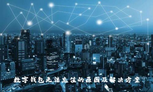 数字钱包无法充值的原因及解决方案